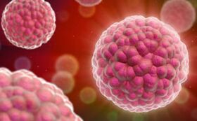 симптоми и лечение на човешки папиломен вирус